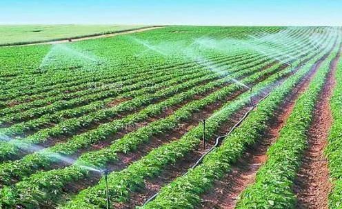 国产操逼网农田高 效节水灌溉